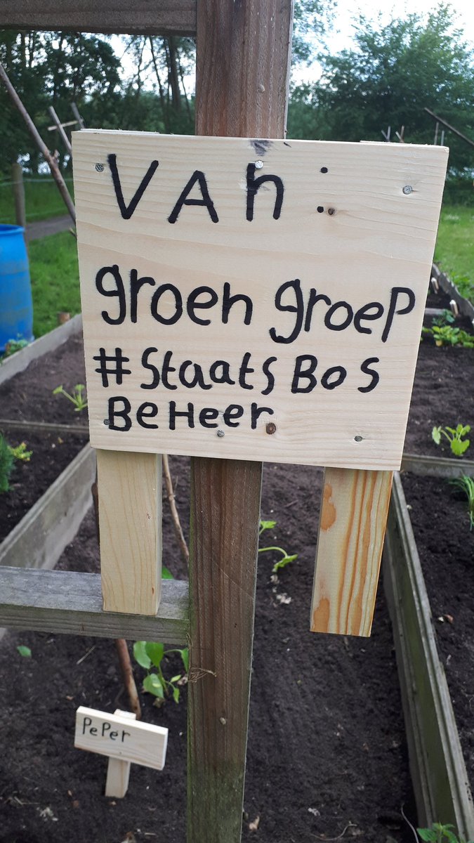 De Groengroep tweet media