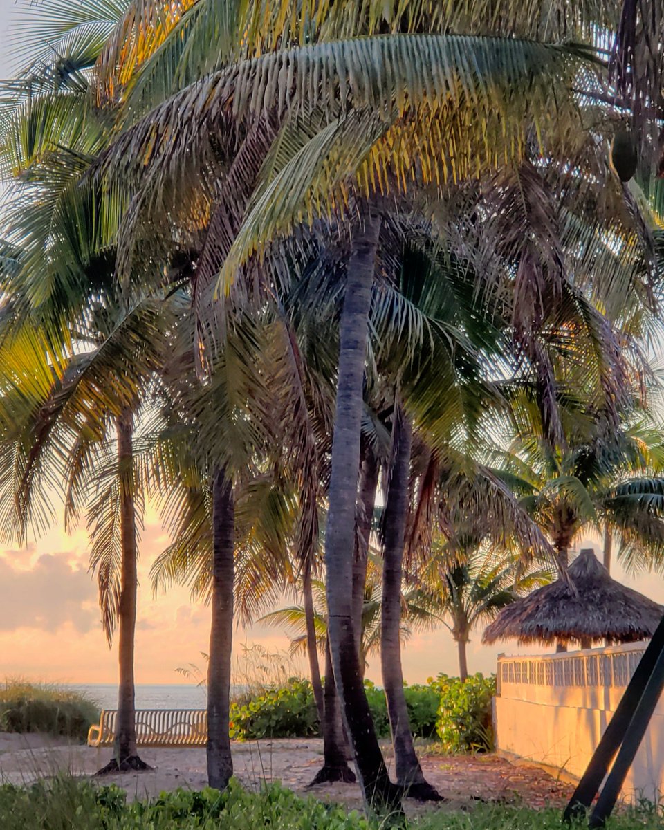 andrighetti35's tweet photo. Another beautiful morning! #morningzenwithjenn #sunrisethismorning #lovefl #saltlife #myserenity #nature #pompanobeach #southflorida #Sunrise #riseandshine #beach @ShareALittleSun @LissetteCBS4 @visitlauderdale @weatherchannel @PompanoWeather https://t.co/X96uPckERw