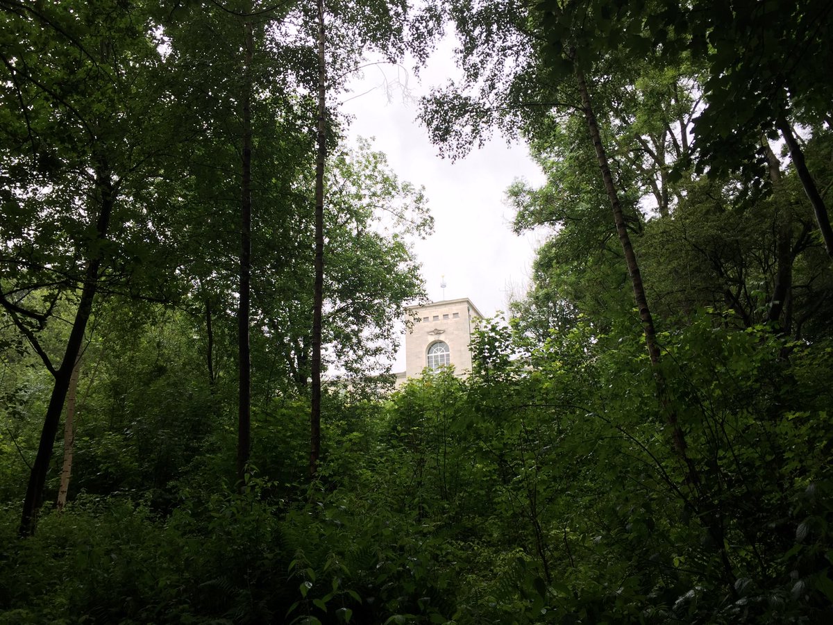 Lynne Watson tweet media