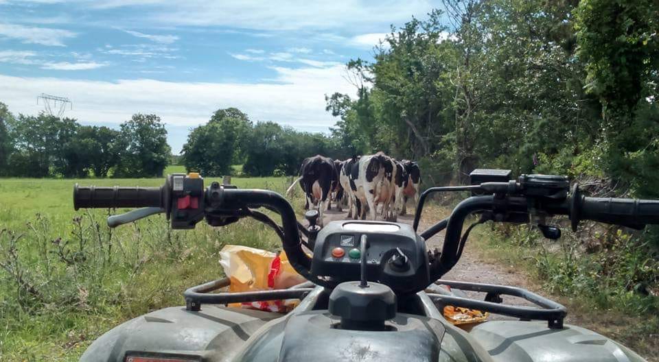 We are loving going through all your entries to our photo competition. To enter post a picture on Facebook, Twitter or Instagram using hashtags #Moorepark19 &amp; #ThisisDairying and be in with a chance to win a €250 One4All Voucher! Good luck