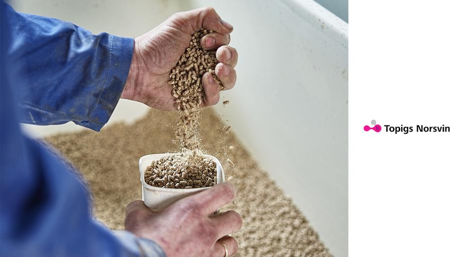 Topigs Norsvin’s breeding program contributes on many levels to a higher feed efficiency and a lower carbon footprint. Each year, the feed efficiency of our lines improves substantially. 

Read more: bit.ly/2XIBwy3