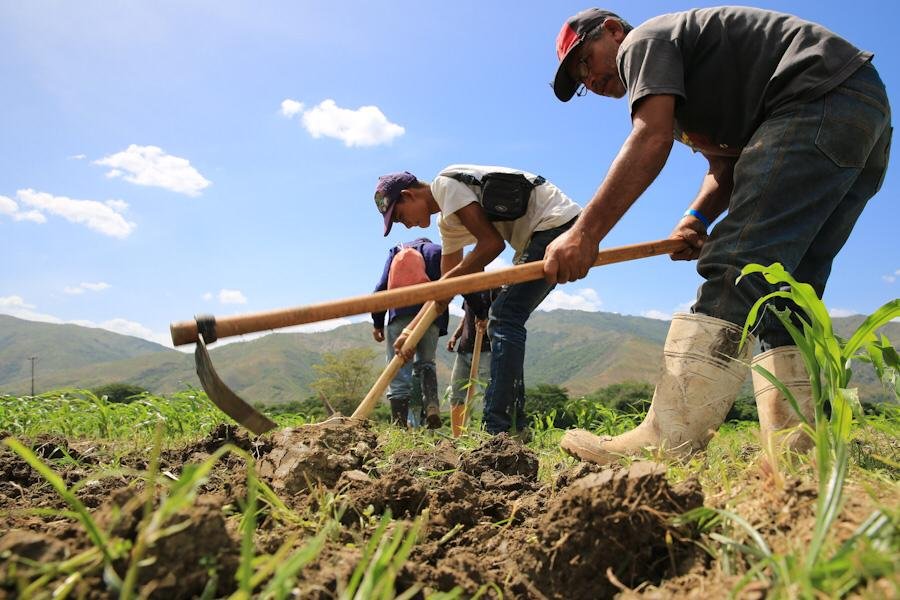 Es posible tener una nueva cultura productiva en las ciudades, en la comunidad, en la familia y en la escuela. Solo con el trabajo y con el esfuerzo de todas y todos, veremos el milagro de la Venezuela Potencia, productiva, próspera e insurgente.
