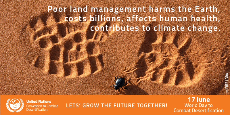 Heifer_NL tweet picture