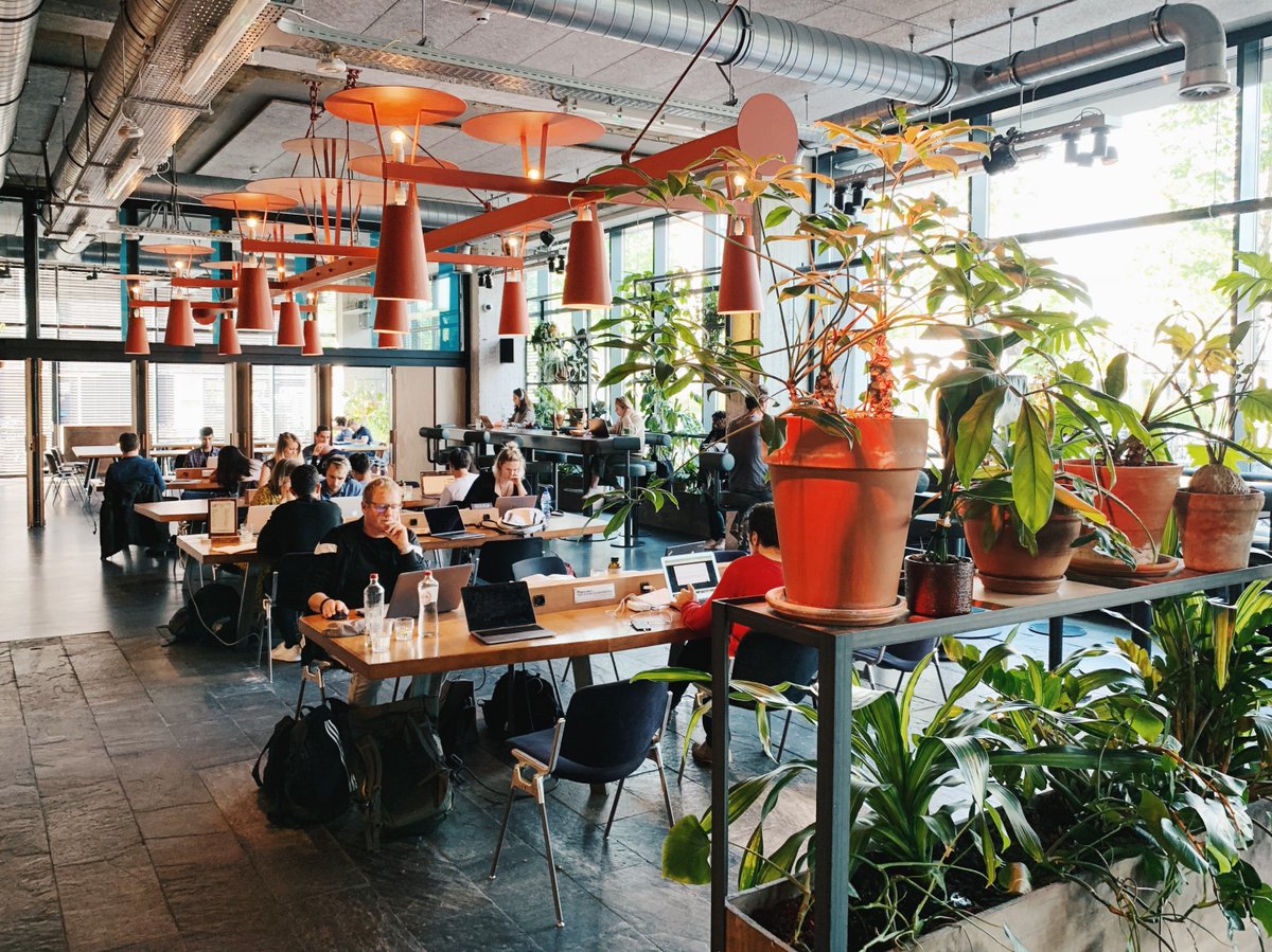 Peter Fabor (@faborio) on Twitter photo Exploring places for work in Amsterdam this week and coworking of <a href="/Volkshotel/">Volkshotel</a> is just perfect 👌 10/10
Beautifully designed, a lot of light, productive vibe, fast internet, plenty of plugs and one more plus: it's free 💸
#freecoworking medium.com/@faborio/the-r… Exploring places for work in Amsterdam this week and coworking of <a href="/Volkshotel/">Volkshotel</a> is just perfect 👌 10/10
Beautifully designed, a lot of light, productive vibe, fast internet, plenty of plugs and one more plus: it's free 💸
#freecoworking medium.com/@faborio/the-r…