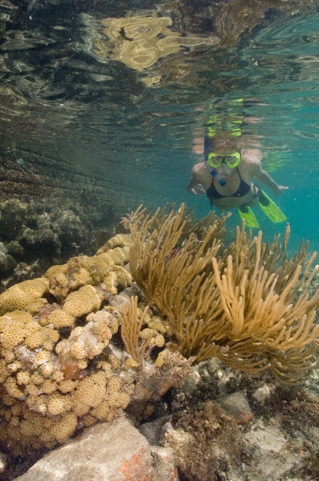 KWSeaplaneAdv's tweet image. This could be you. #ShouldBeYou #reefsnorkeling #snorkelthereef #DryTortugasNationalPark KeyWestSeaplaneCharters.com