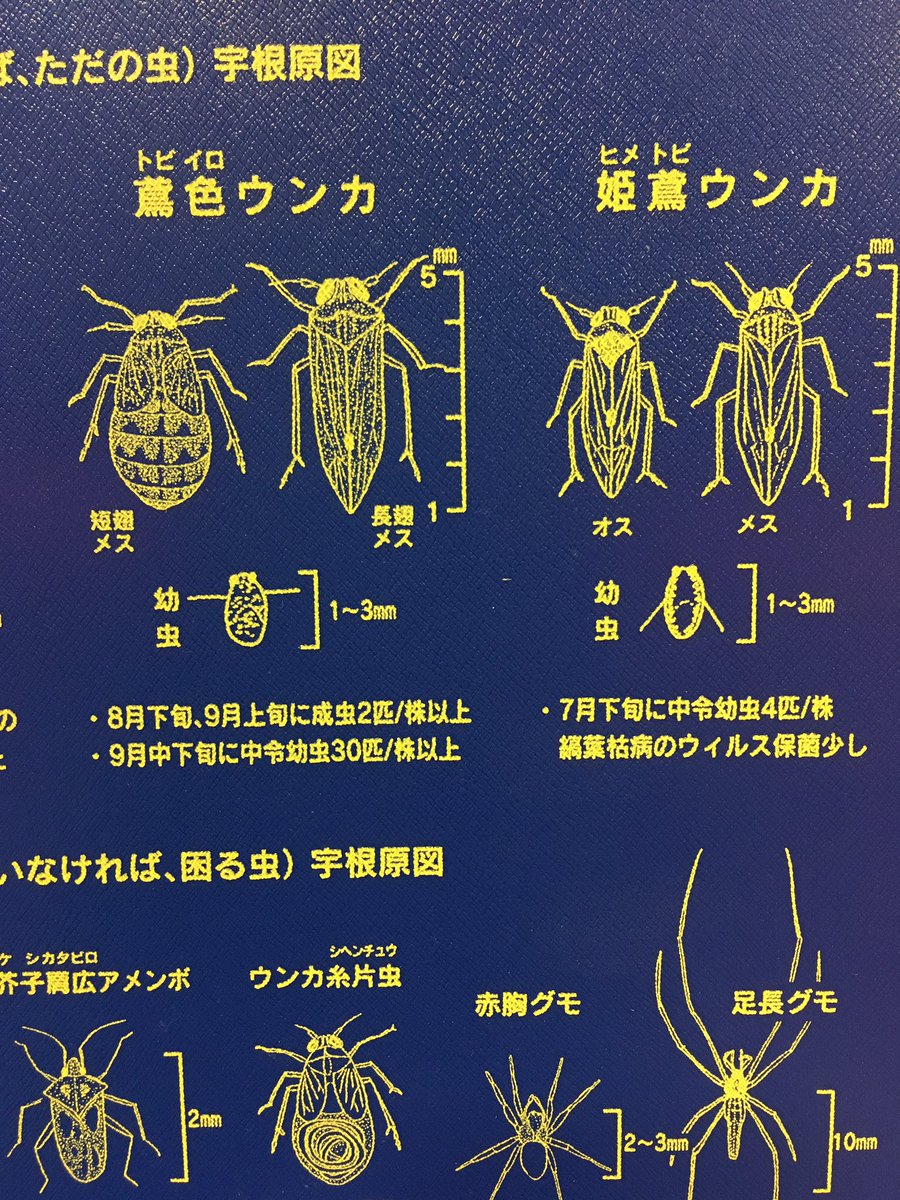 けいきものページ コミック】へんてこいきもの(1) | アニメイト