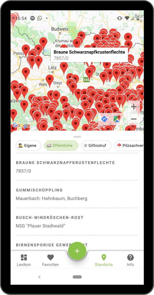 AndroidAppJunky's tweet image. Suche öffentliche Pilz - Fundstellen 🍄, um die Qualität der Pilze123 App zu verbessern. Jemand eine Idee? #OpenData #followerpower