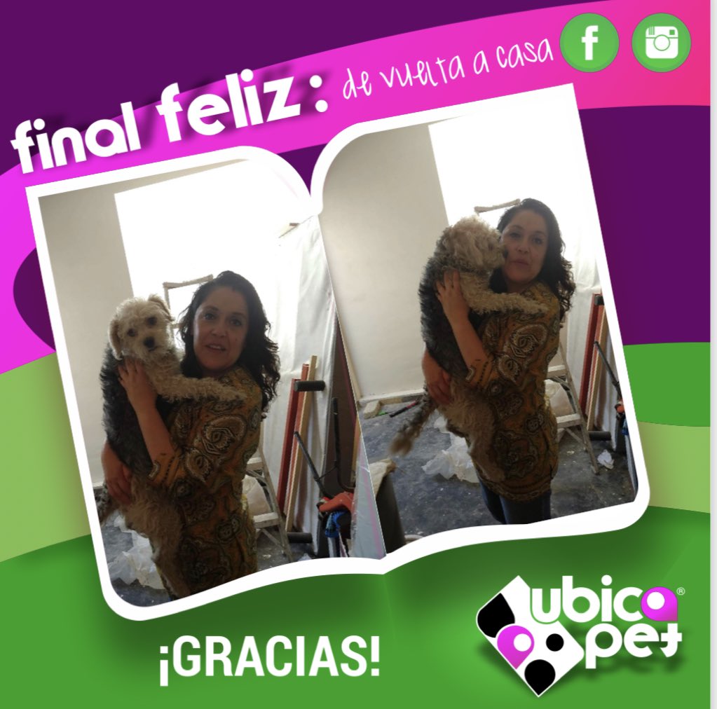 UbicapetMexico's tweet photo. #FINALFELIZ F047-P013
ODI está de regreso a casa y todos estamos felices
Gracias a la familia que la cuidó este tiempo y no la dio en adopción 
Recuerden, cuando encuentren a un perrito esperen a su familia y no corran a darlo en adopción!
#Ubicapet
#tumejoramigosiemprecontigo https://t.co/34KhXUh9Zk