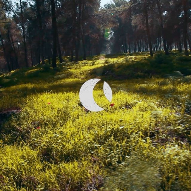 Flowers is Out Now! 
<a href="/dayslikenights/">FOB</a> label 🌸Link in Bio🌸 bit.ly/2ZqTwNY