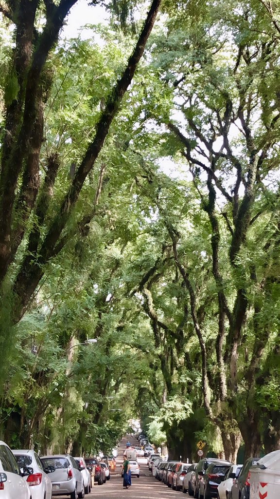 D88zfRCXkAAk2eT.jpg:large