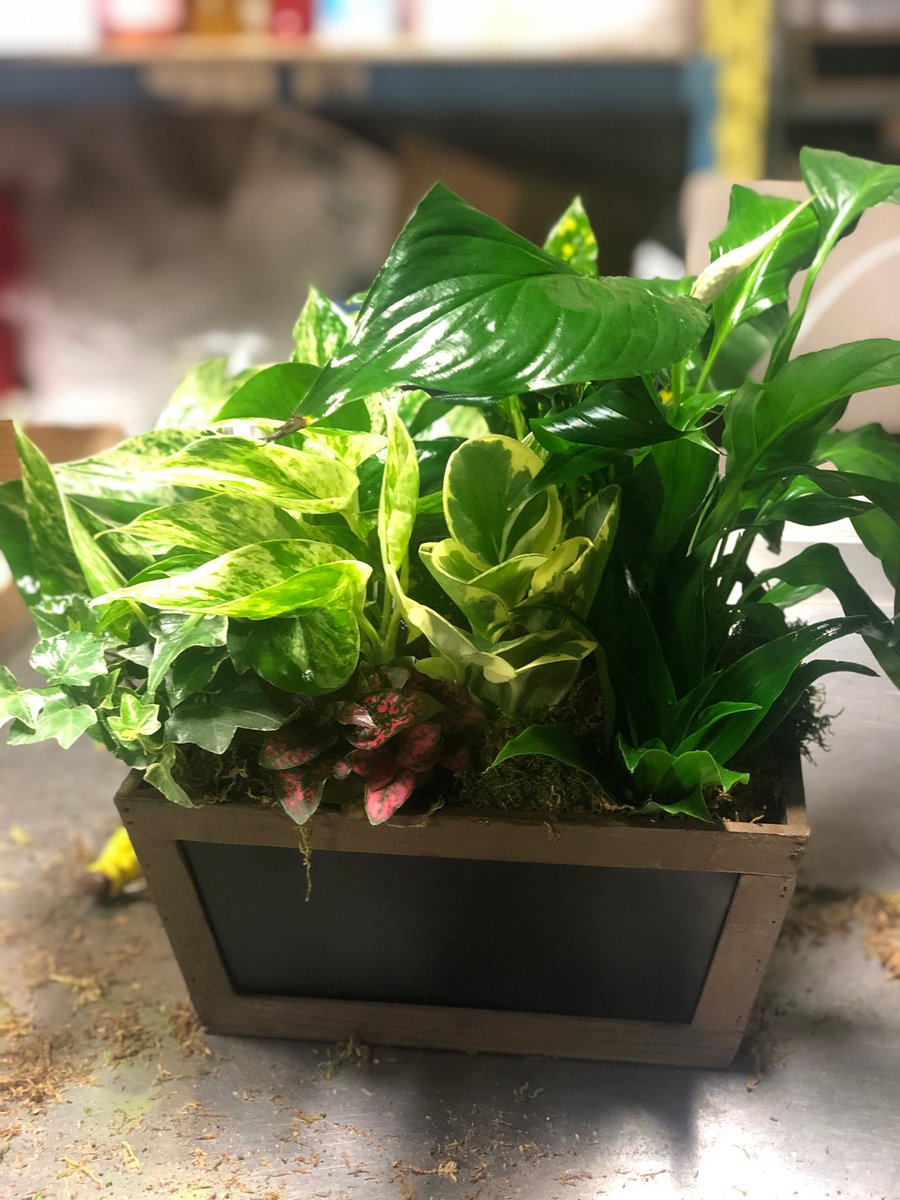 Father's Day is coming up have you pre-ordered a surprise for him yet? We deliver anywhere in Canada! 🇨🇦 Save $10 with the code 'FATHER' at checkout!
*Also we have many different Father's Day themed gift baskets available as well!
Visit: buff.ly/2IFMw97