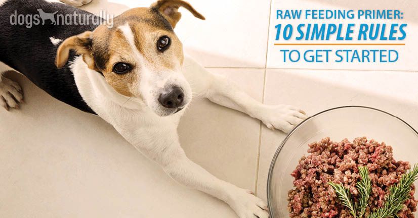Ready to feed raw (or improve your dog's raw diet)? 

These 10 easy steps will keep your dog's diet balanced and healthy ... dogsnaturallymagazine.com/raw-feeding-pr… via: <a href="/DogsNaturally/">Dana Scott</a>