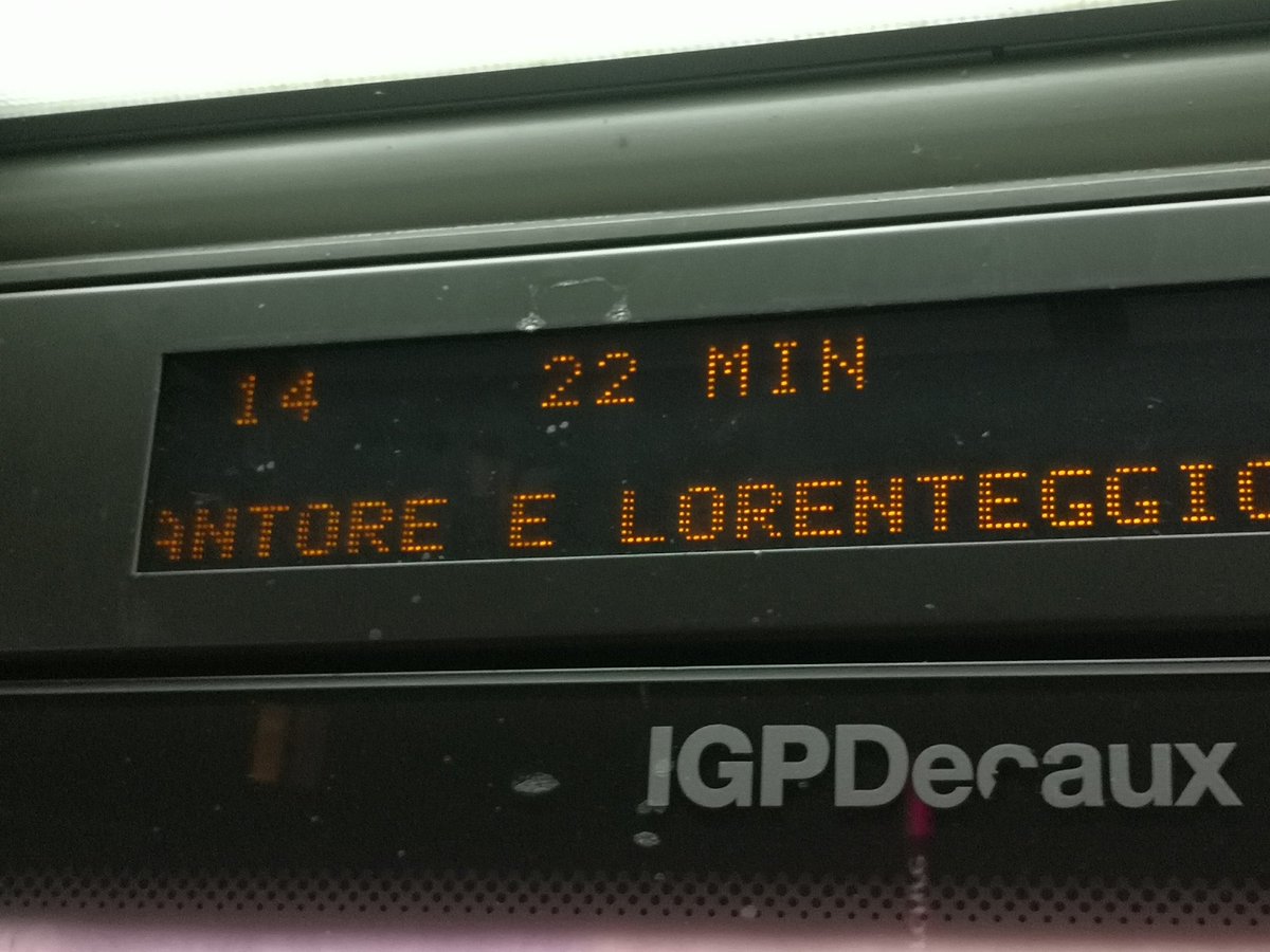 GPiazzoPhotography tweet media