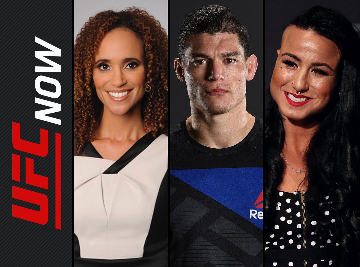 UFC Now tweet media
