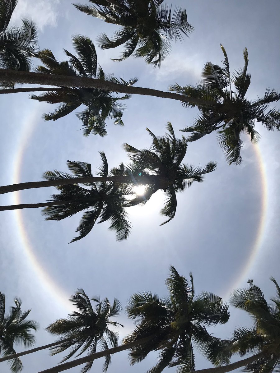 rattymarie's tweet photo. Wow this took my breath away #bluediamonbeachresort #ghana #sunaura #amazingbeach #paradise #expatlife #beachlife https://t.co/iqOKTqDutf
