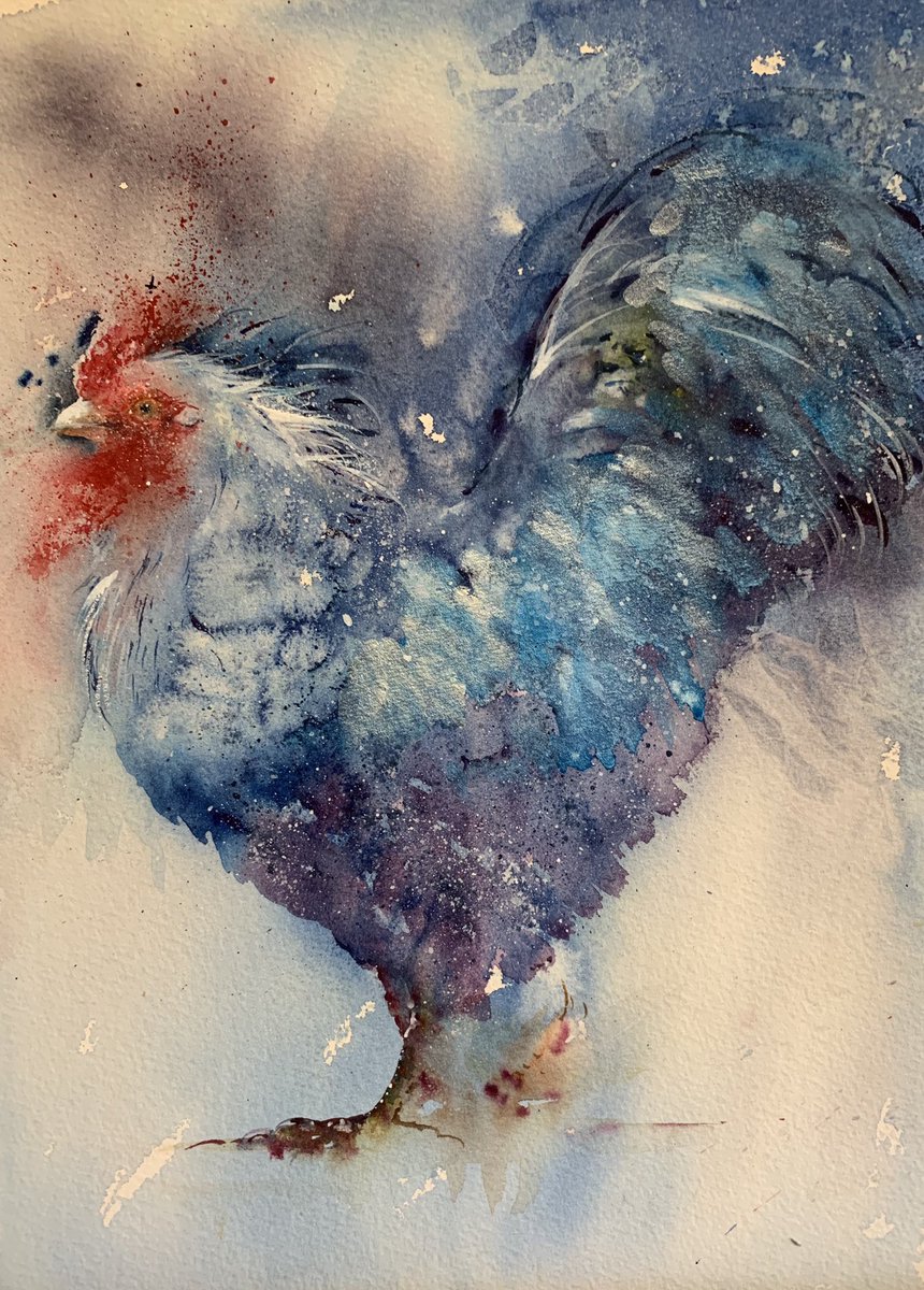 JeanHaines's tweet photo. “Ruffled Feathers” new rooster in watercolour https://t.co/UEwDKCAPVW
