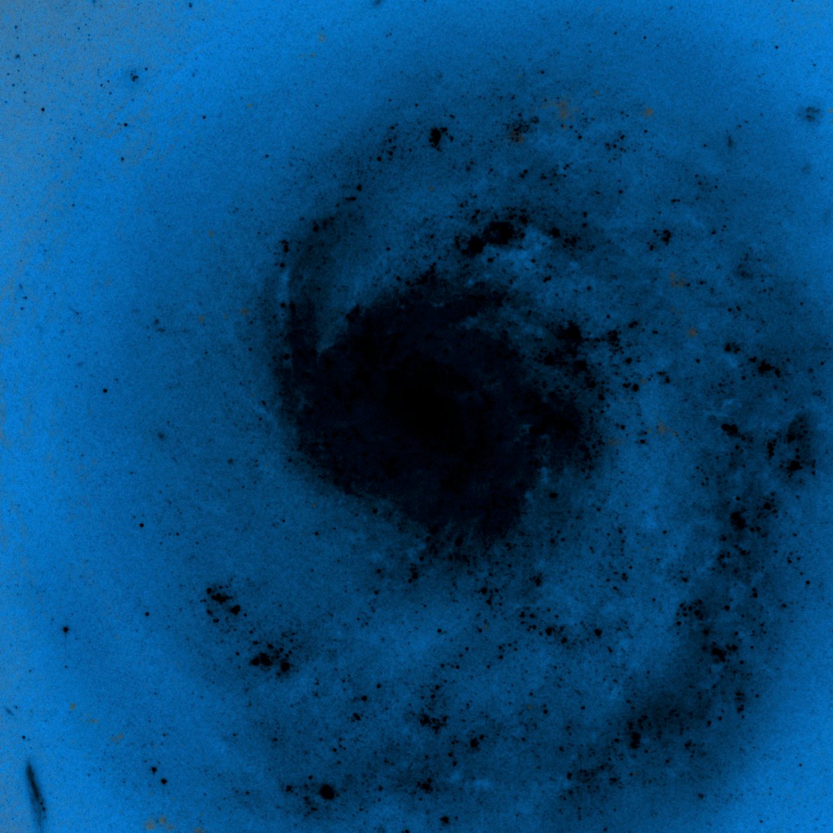 CompanionsTweet's tweet photo. Album art for the New Earth EiF RMX single, coming in July! Galaxy or whirlpool? Either way, we hope the beats will suck you in like they have us

#TheCompanions #transatlantic #ActuallyAutistic #EiF #ActuallyRemixedIt https://t.co/8tSDtd7djn
