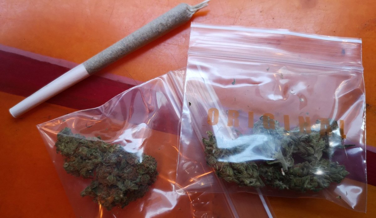 NoraMaryGray's tweet photo. I love Amsterdam ❤️
#wantback #weedlife https://t.co/KYF33tEXub
