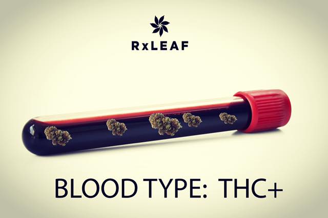 What's your blood type? #THC #blood #inyou #medicated #elevated #fam #fireinfireout #cannabis #medicalcannabis #cannabiscommunity #weed #weedlifestyle