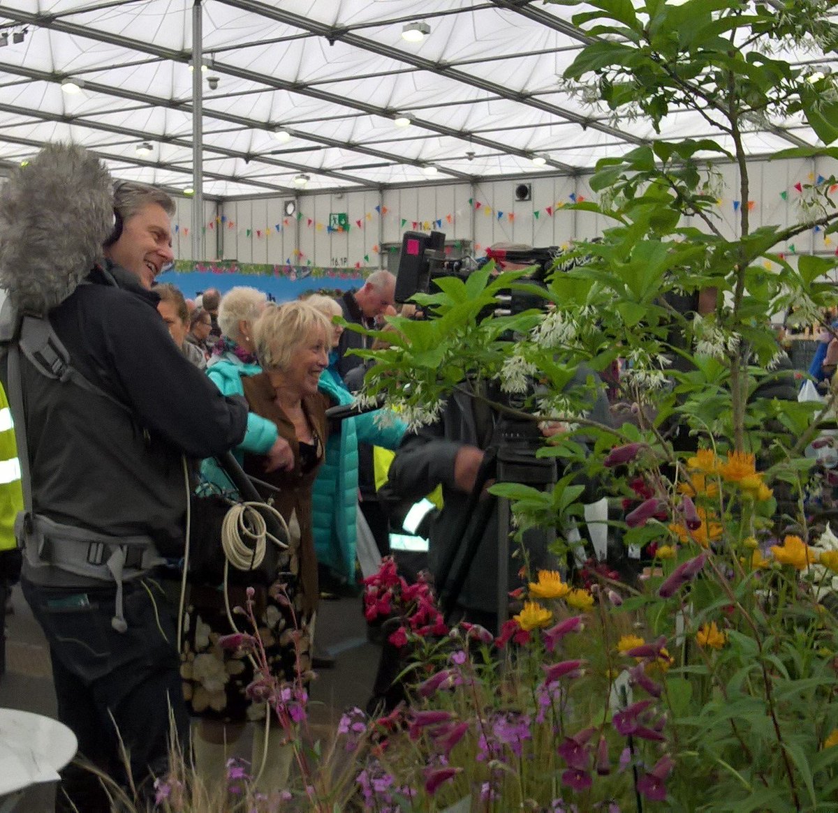 greenjjam's tweet photo. Silver merit @BBCGWLive. Busy day, including Carol Klein and the BBC paying a visit to the stand. Still three days to go some come along and enjoy a great day out. https://t.co/U8xmzrGff6