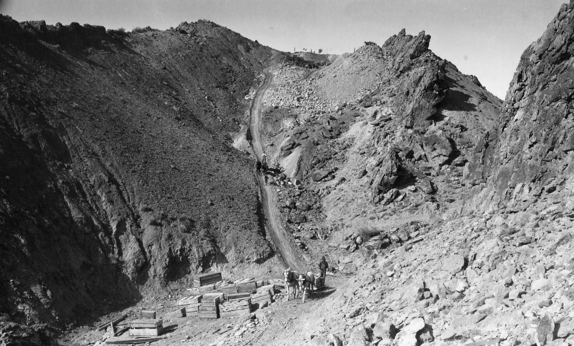 UUtah's tweet photo. It was 95 years ago when a caravan of dinosaur fossils—60,000 pounds worth—made its way from Dinosaur National Monument to the streets of Salt Lake City and, finally, to the U. Those fossils remain on exhibit at the @NHMU. 

https://t.co/BL7vdfQnji #UofUtbt #tbt https://t.co/3pow37EfeA