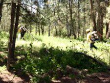 spokaneco8_3711's tweet photo. Great collaboration between our recruit academy &amp; @waDNR_fire 🔥
Combined training ⬆️ communications and relationships #WaWILDFIRE 
@SCFD8 @SCFD9 @CheneyFF1919 @PullmanFF @PullmanFire 
#scfd3 
#HereForYou https://t.co/LUt1SrfefE