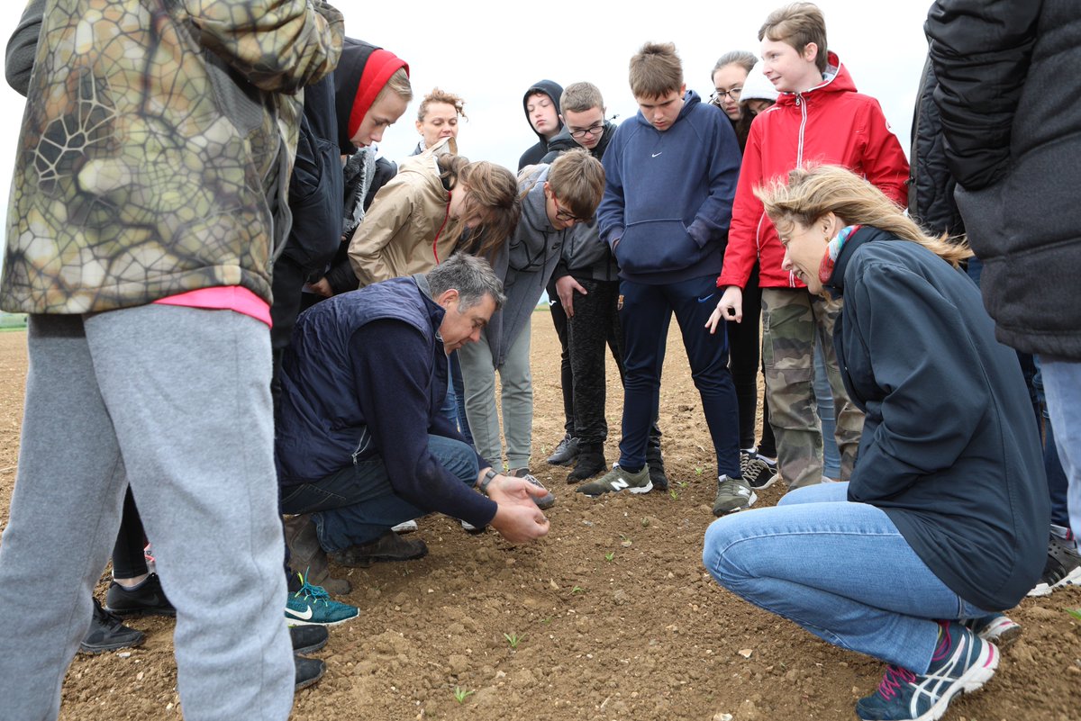 EliseDemaret tweet media