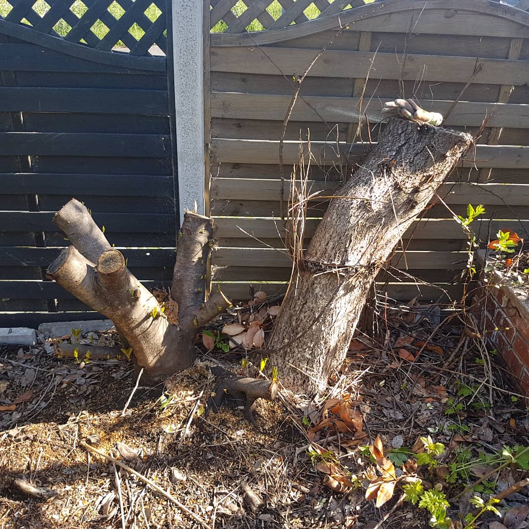 cdrconandland's tweet photo. Did you know as well as tree removal we also offer stump grinding services? This is an area we cleared for a customer in Helmshore so that they can use the space for a greenhouse. #treeservices #stumpgrinding #Rossendale #Lancashire #Helmshore #landscaping https://t.co/ZmPx5n5tf3
