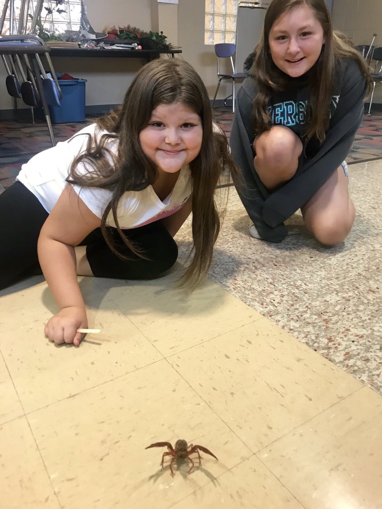 BsquaredMES's tweet photo. 🦐Crayfish are here! The students loved making new friends! Today they observed the features and behaviors of the crayfish. Some brave students even learned to pet them! https://t.co/OHA89BA11Z