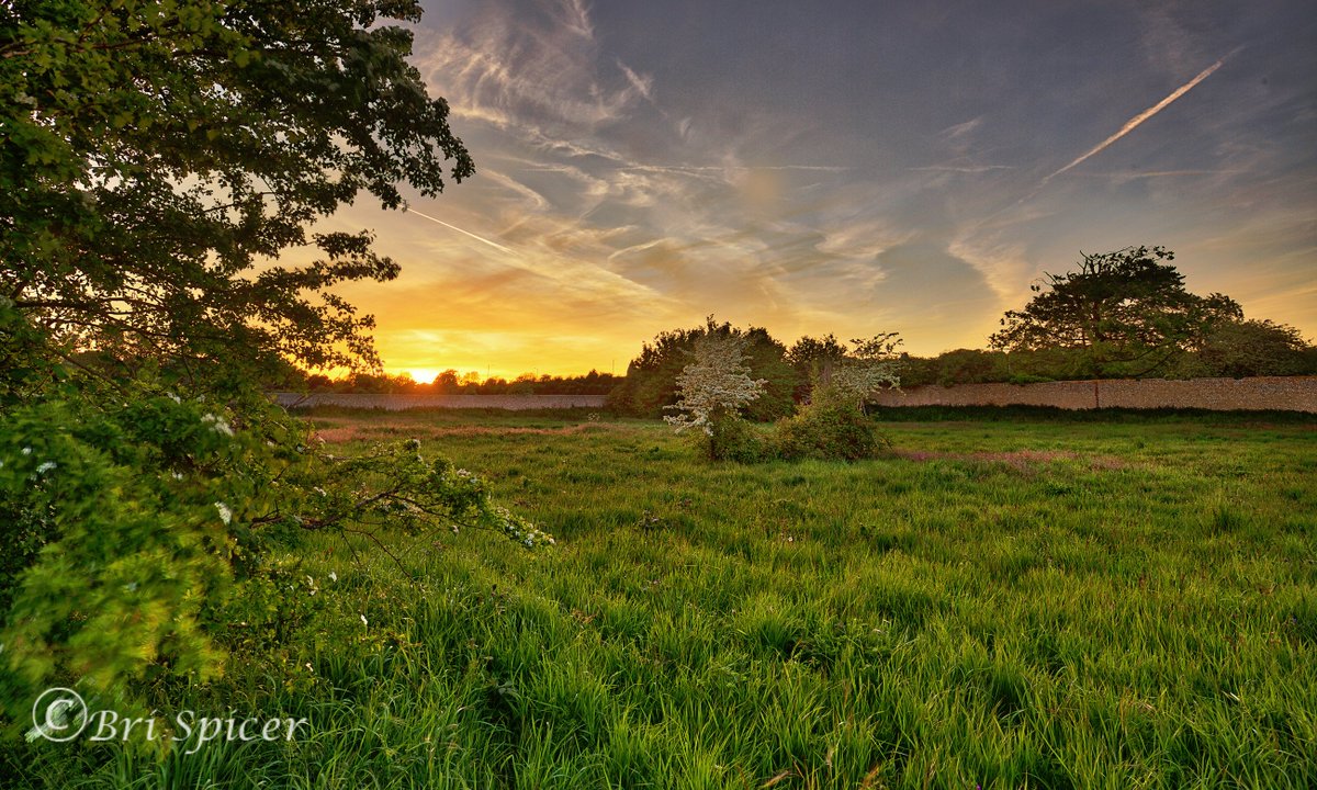 brianspicer141's tweet image. Sunset in the meadow at Sompting in Sussex flickr.com/photos/1746973… @VisitSussex