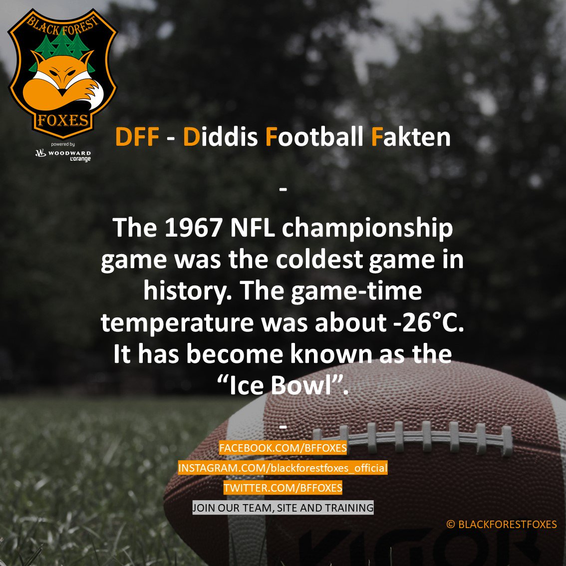 bffoxes's tweet photo. #foxes #blackforestfoxes #blackforest #woodward #lorange #football #americanfootball #dff #footballfacts #cheerleader #eaglesherrenberg #eaglescheerleader #nfl #gfl #cfl #rannfl #rannflsuechtig #offense #defense #speacialteams #diddisfootballfacts #touchdown #oneteam #onefamily https://t.co/YOP5rzq8QZ