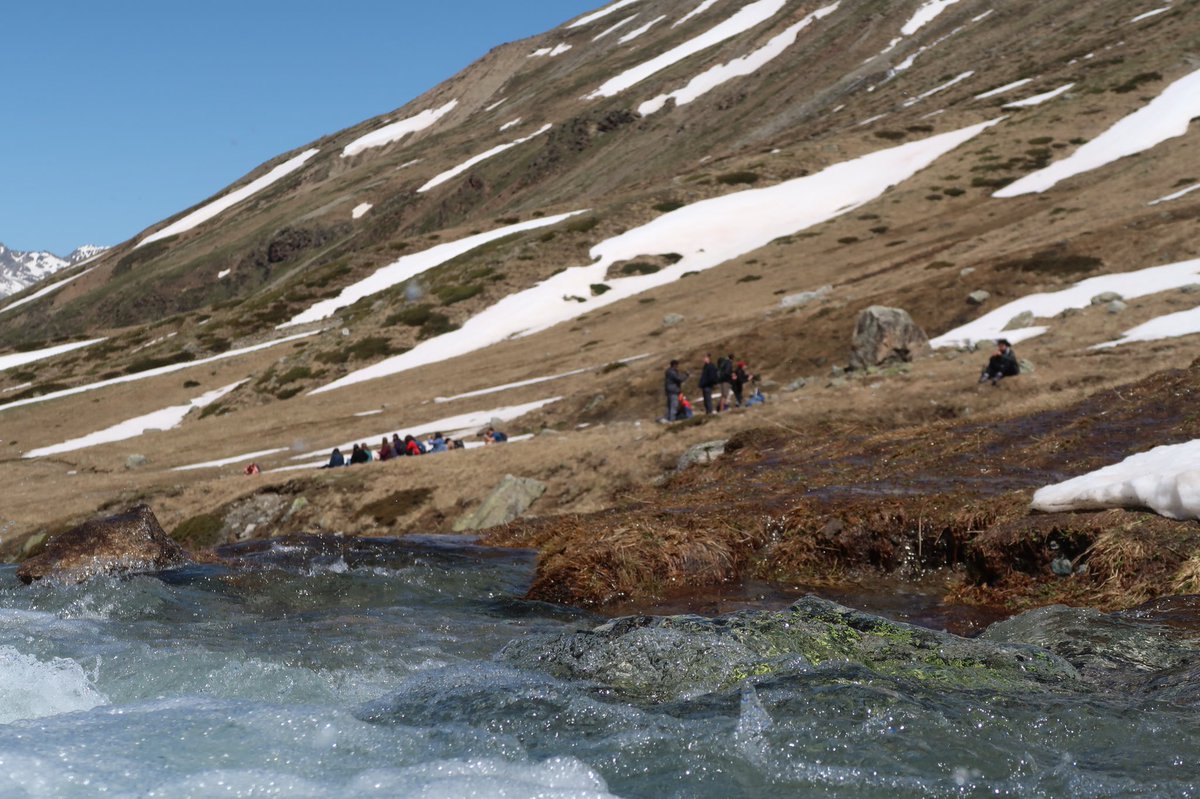 EvansSre's tweet photo. Today, we were guided around the high-Alpine zone by @B_Tschirren. Saw chamois, fox and ibex, plus i glimpsed a lammergeier #fieldCH https://t.co/7tjUXKEZsL