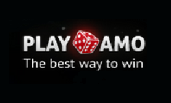 CasinoTeam24's tweet photo. PlayAmo Casino - https://t.co/FWjgLzGG00
100% First Deposit Bonus
50% HighRoller Bonus
20 Free Spins
Fast Withdrawal
#highrollerbonus #playamocasino #playamo #bestcasinooffer #top10casino https://t.co/g7OUizTmox
