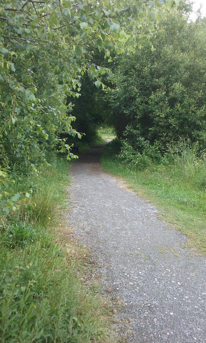 'Listen to the Sounds of Nature' Walk in Lough Boora Discovery Park, 10am Sat. 15th June
Starts at the Visitor Centre  with leaders Seamus Barron + Sean Craven and includes mindfulness listening sessions with Anthony O’Prey 
Ethna Carroll 086 8064691 Declan Costello 087 6991226