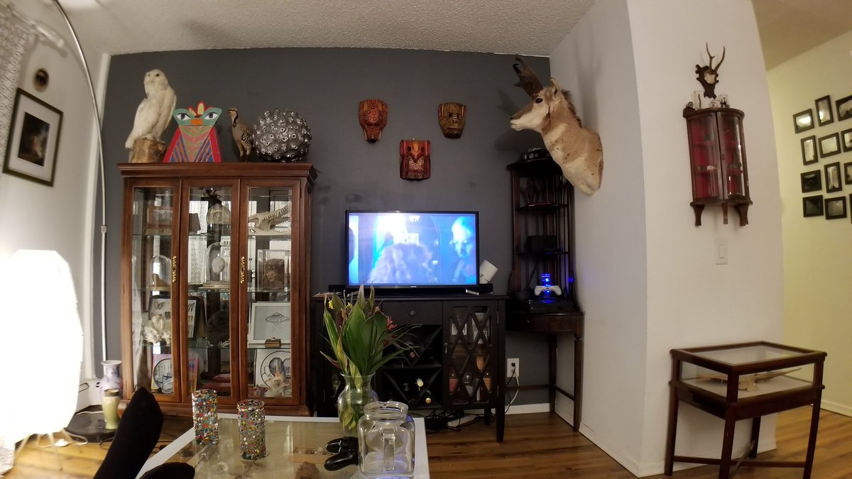 MrSpaceRobot's tweet photo. Hey #atblistenslounge how about an oddity or taxidermy for my personal museum? https://t.co/YBLuHMEXru