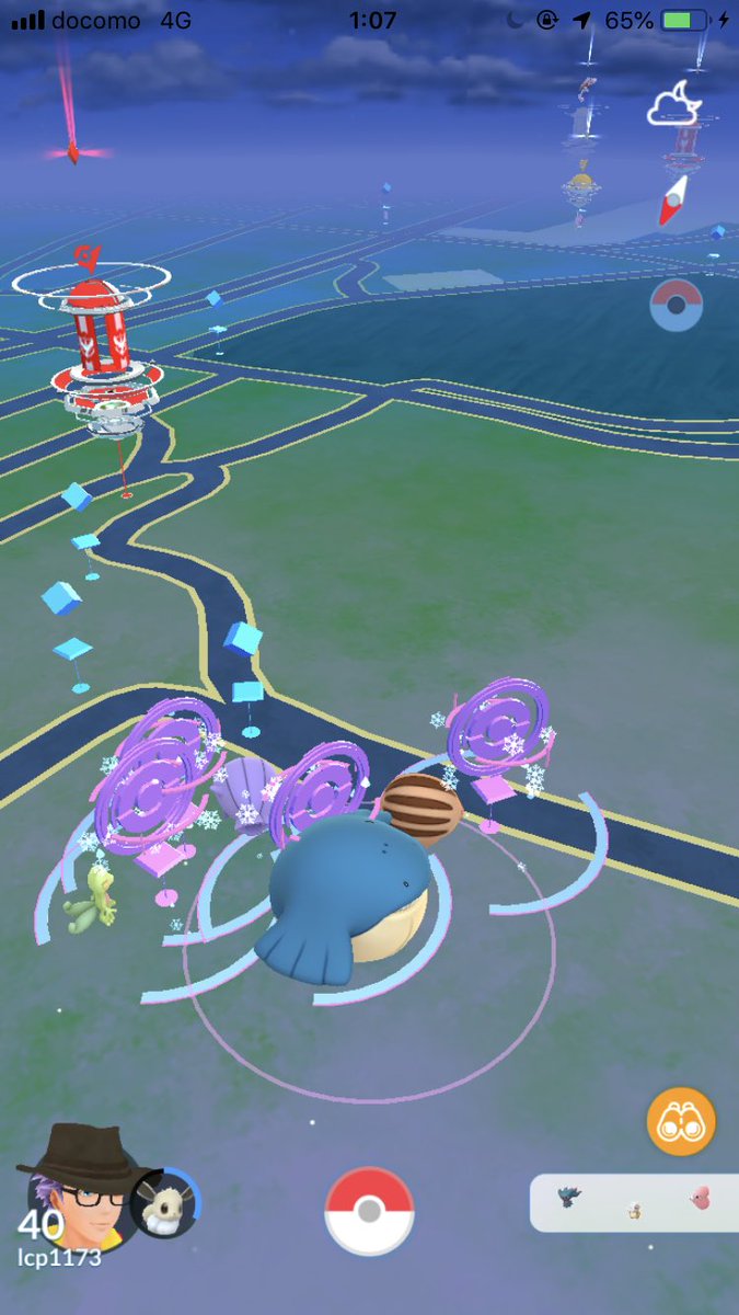 ポケモンgo アイスルアーでタッツーは出やすくなる 実際に焚いてみた結果 ポケモンgo攻略まとめ速報