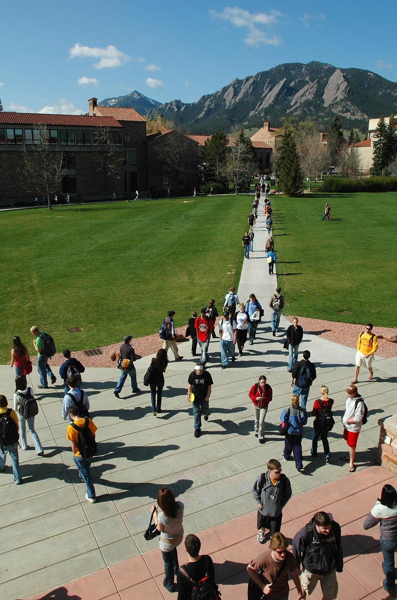 Forever Buffs 🦬 tweet media