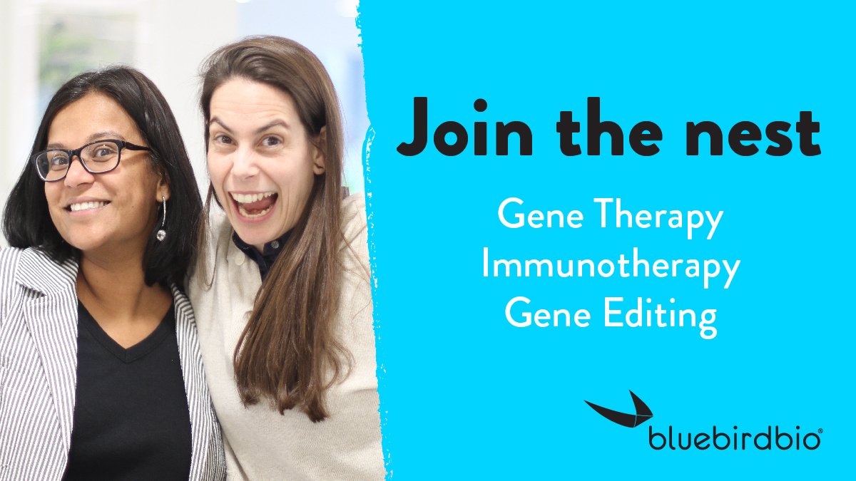 genetix_biotx's tweet photo. Our birds are on the ground at #EHA24, sharing how we work together to bring the promise of #genetherapy to those who need it. Looking to join the nest? Come fly with us as we #RecodeForLife! #EHA2019 https://t.co/orvyXkGHA6 https://t.co/f06wDhXEzx