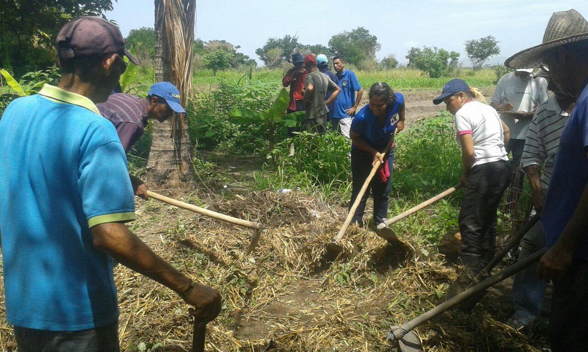 HOLA CAMARADA AQUI EN DIEGO IBARRA ESTADO CARABOBO VAMOS EN AVANZADA TRABAJANDO EN LOS PRODUCTIVO QUEREMOS SU APOYO <a href="/nicolamaduro/">nicolas maduro moros</a>  NECESITO SU AYUDA AQUI SE HACE EL TRABAJO CON LOS MAESTRO CAMPESINO <a href="/FreddyBernal/">Freddy Bernal</a> NADIE NOS AYUDA <a href="/rafaellacava10/">Rafael Lacava</a>