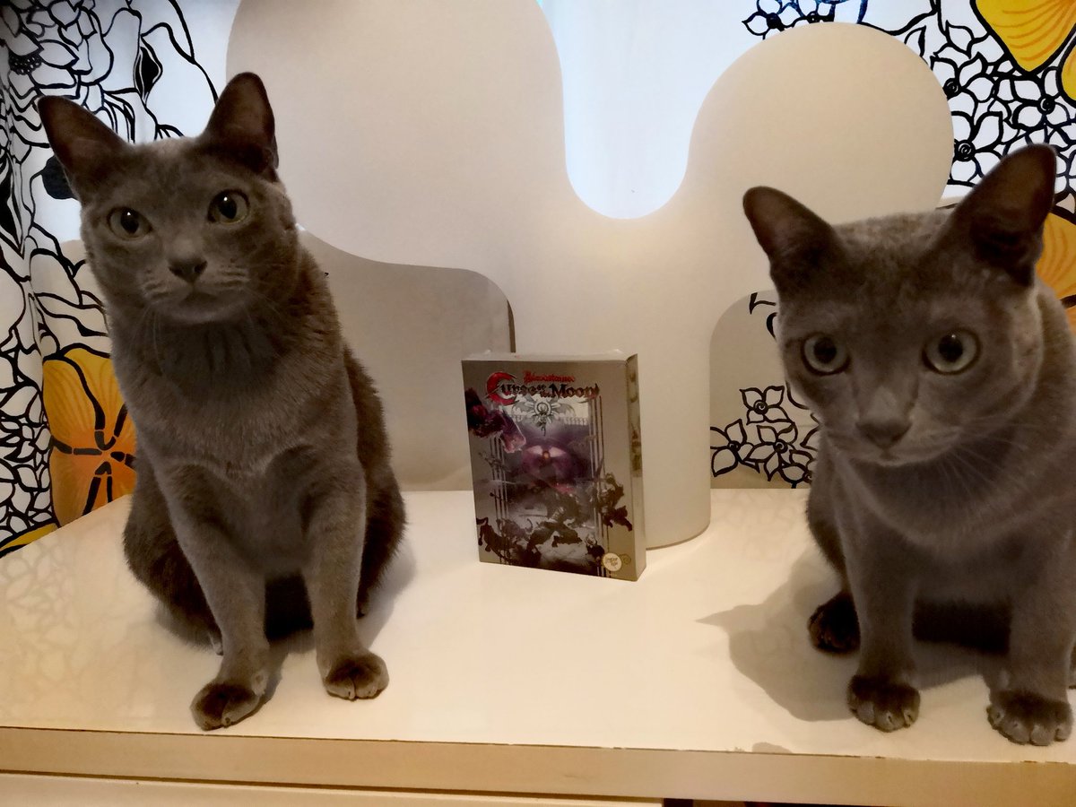 My second CE from <a href="/LimitedRunGames/">Limited Run Games</a> <a href="/IntiCreatesEN/">INTI CREATES</a>  😍#PS4 #CatsOfTwitter