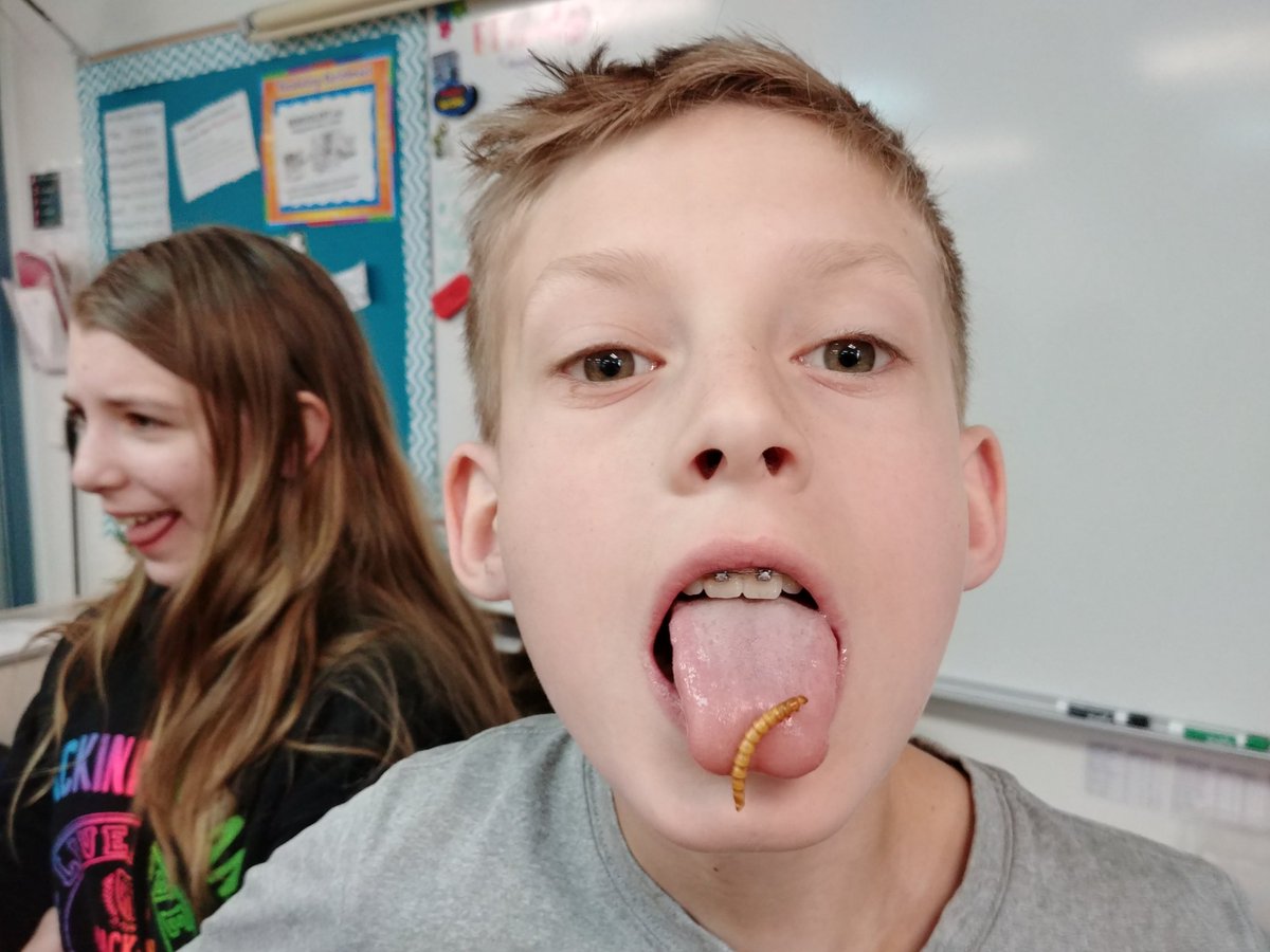 Kutchensclass's tweet photo. No better way to end social studies for the year than to eat Larvets @Oakview_MS @LkOrionSchools https://t.co/AdMZy2iW10