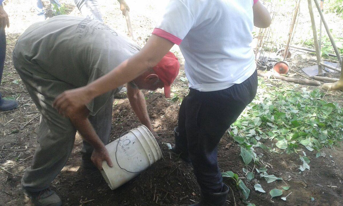 ESTE EQUIPO ESTÁ CONFORMADO POR ENLACE INSTITUCIONALES EDUCATIVO <a href="/maduro_fr/">Nicolás Maduro</a> CAMPESINO <a href="/maduro_en/">Nicolás Maduro</a> TÉCNICO PRODUCTIVO <a href="/lacava10dracula/">Rafael Lacava</a> Y EQUIPO DE PTMS DEL MUNICIPIO DIEGO IBARRA ESTADO CARABOBO SEMBRAMOS MAÍZ CHUCO Y HACEMOS BOCACHIS Y PREPARACIÓN DE SUELO