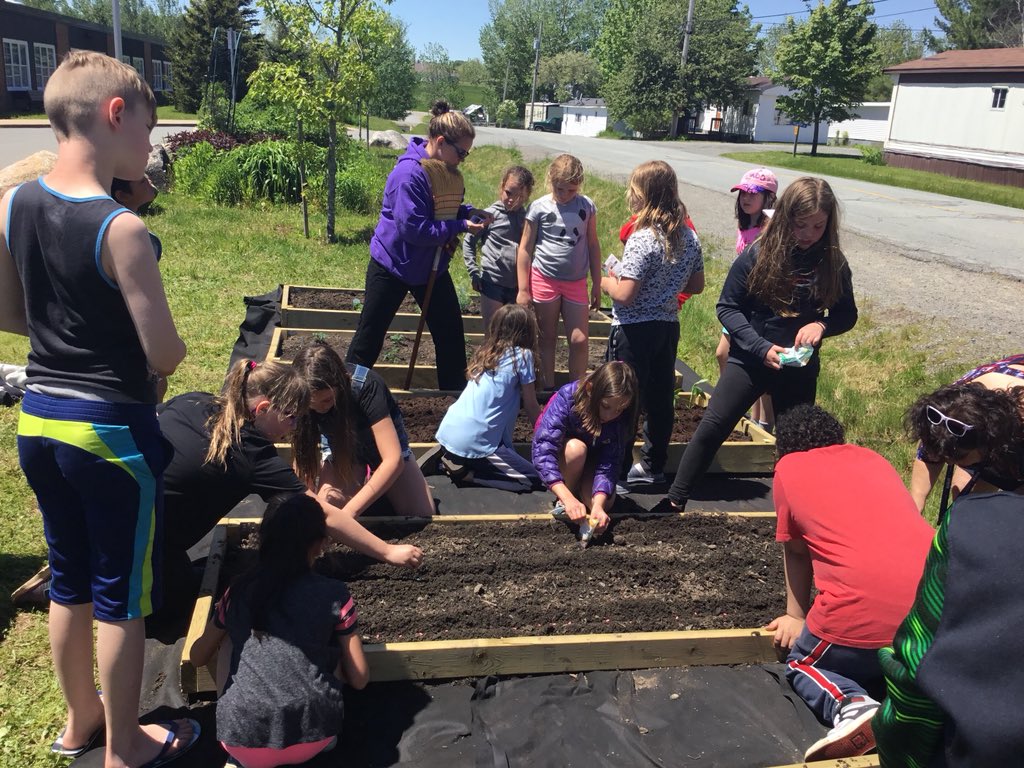 FdsLeary's tweet photo. Planting day! #determinationliveshere  #schoolgardens  @avrceprograms  @FDSPrincipal https://t.co/u38rvrmp9s