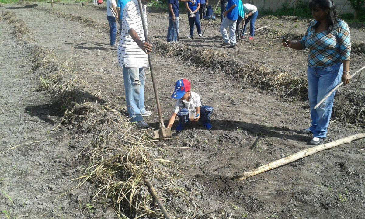 ESTE ES TRABAJO QUE HACEMOS DESDE LA CUNA DE LA REVOLUCIÓN <a href="/maduro_en/">Nicolás Maduro</a> TRABAJOS EN FAMILIA  PARA LA PRODUCCIÓN SEA PARA EL PUEBLO <a href="/ConElMazoDando/">Con el Mazo Dando</a> ESTADO CARABOBO MUNICIPIO DIEGO IBARRA <a href="/LaZurdaDeChavez/">Zurda Konducta</a> <a href="/avilaelguerrero/">Jose Avila</a> @SalaCarabobo