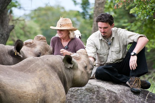 Help to conserve endangered species and ensure they have a beautiful future with these volunteer programs around the world: bit.ly/2WFh93s #endangeredspecies #animals #wildlife #conservation #wildlifeconservation