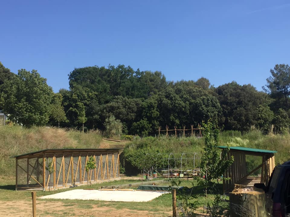 Els horts de Puigvert tweet media