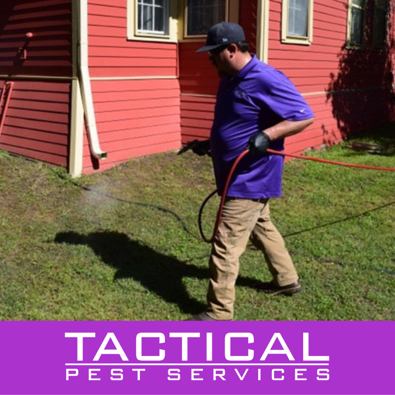 tacticalpest's tweet image. We don&apos;t just want to get rid of your pests, we want to keep them away for good! 🐜🚫 That is why we offer recurring pest services. Call today to get started on a monthly, bi-monthly, or quarterly plan! (469) 814-0299
#TacticalPestServices #pestcontrol #recurringservices #pests
