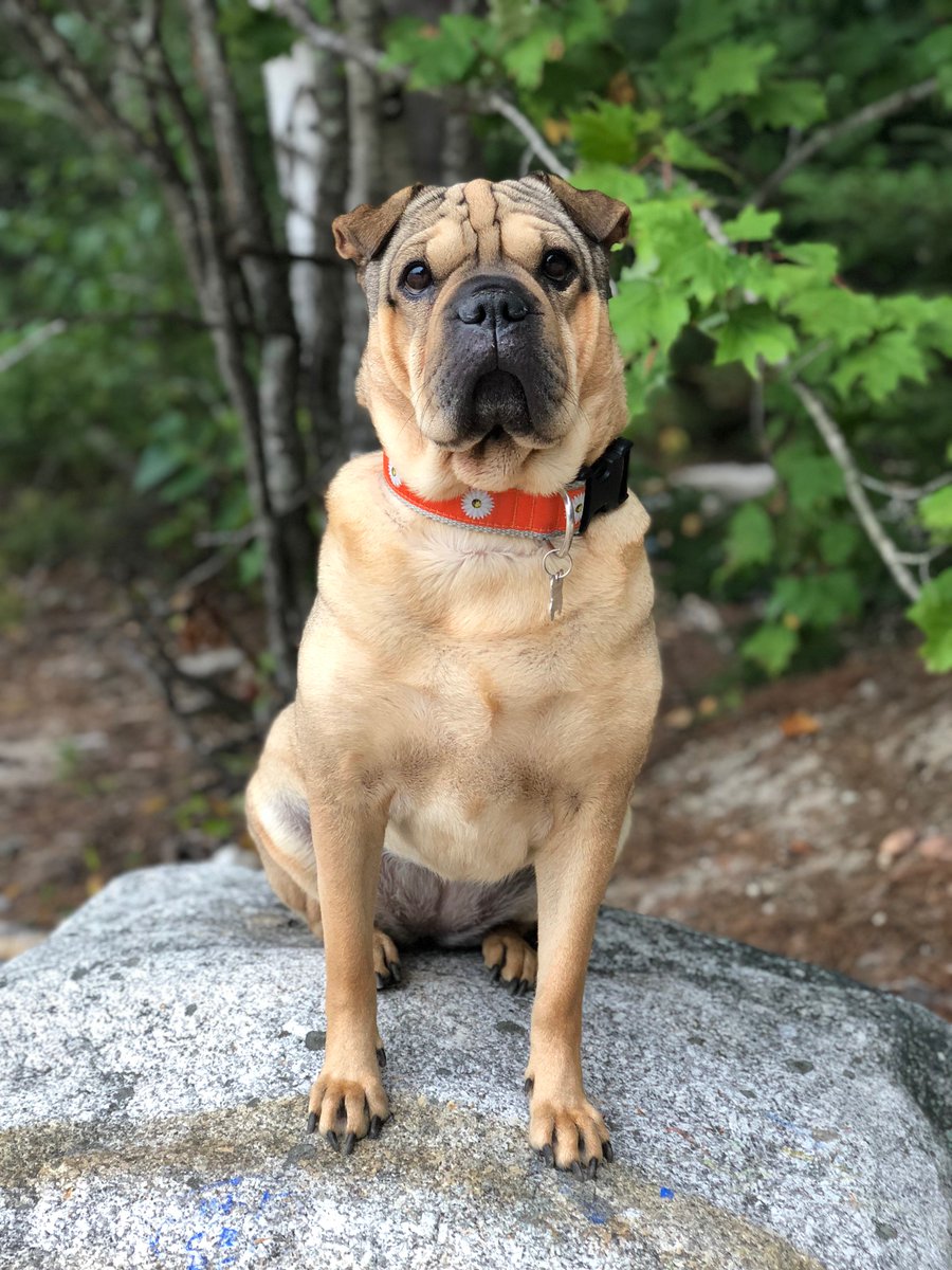 Malcolm McD tweet media