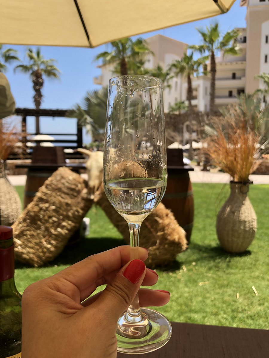 PattieCordova's tweet photo. Tequila tasting is awesome. 😝Jose, our tequila expert, is so knowledgeable and now I only drink extra añejo. 😉
#TravelocityPartner #gnomads #gnomadscabo #SolmarResorts https://t.co/VUoenoHb8g