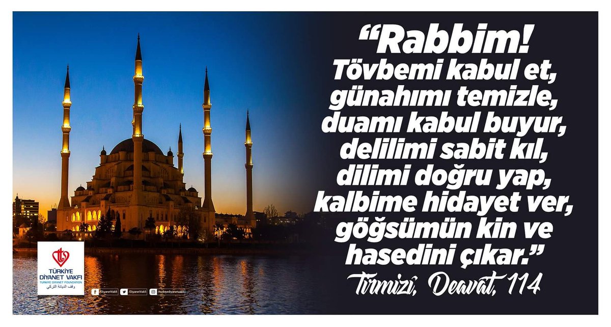 Silikon porno modellar